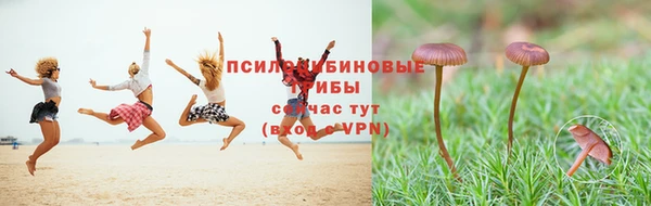 круглые Карпинск