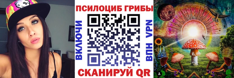 Псилоцибиновые грибы Psilocybe  Купить закладки  Инсар 